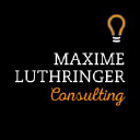 luthringer-consulting.com