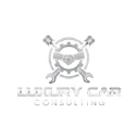 LUXURY CAR CONSULTING