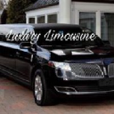 luxurylimousine1.com