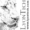 Lyon Technical Services LLC