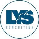 lys-consulting.com