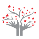 Maccorstrat Consulting