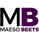 maeso.com.mx