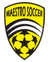 Maestro Soccer LLC