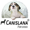 magasin-pour-chiens.com