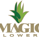 magic-flowers.com