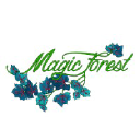 magicforestdecoration.com