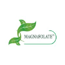 magnafolate.com