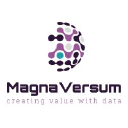 magnaversum.com
