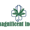 Magnificentincense
