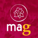 magnoliacom.com.br