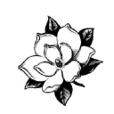 magnoliagardensnursery.com