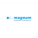 magnumscaffolding.co.uk
