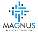 magnusmedweb.com