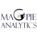 magpieanalytics.com