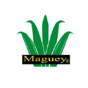 maguey.cl
