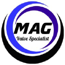 magvs.com.br