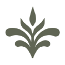Main Street Dispensary Logo