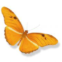 Avatar logo