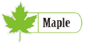 maplegourmet.co.in