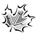 Maple Roots logo
