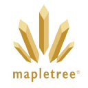 mapletreer.com