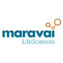 Maravai Lifesciences