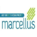 marcellus.co.in