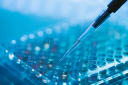 Marea Therapeutics