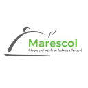 marescol.com