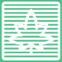 marijuanaspan.com