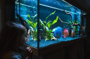 Marinefishworld