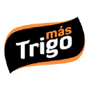 mastrigo.com