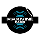 maxivinil.com