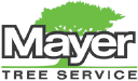 mayertree.com