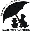 mayflowersanctuary.co.uk
