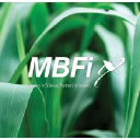 mbfi.co.za
