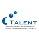 talent.org.mx