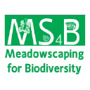 meadowmaking.org