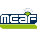 meaf.com