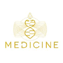 medicinefestival.com