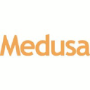 medusabusiness.com