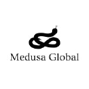 medusaglobal.com