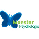 meesterpsychologie.nl