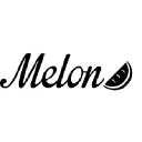 MELON OPTICS LIMITED