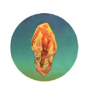 MF  Avatar