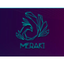 merakigroups.com