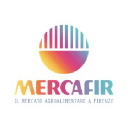 mercafir.it
