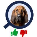 merlin search technologies