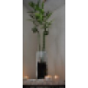 Merulli Acupuncture & Wellness